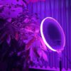 Anneau lumineux (ring ligth) Lampe Led GS-45 RGB pour prise de vue photo et vidéo 3000-6500K
